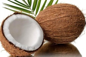 | بهترین گز اصفهان